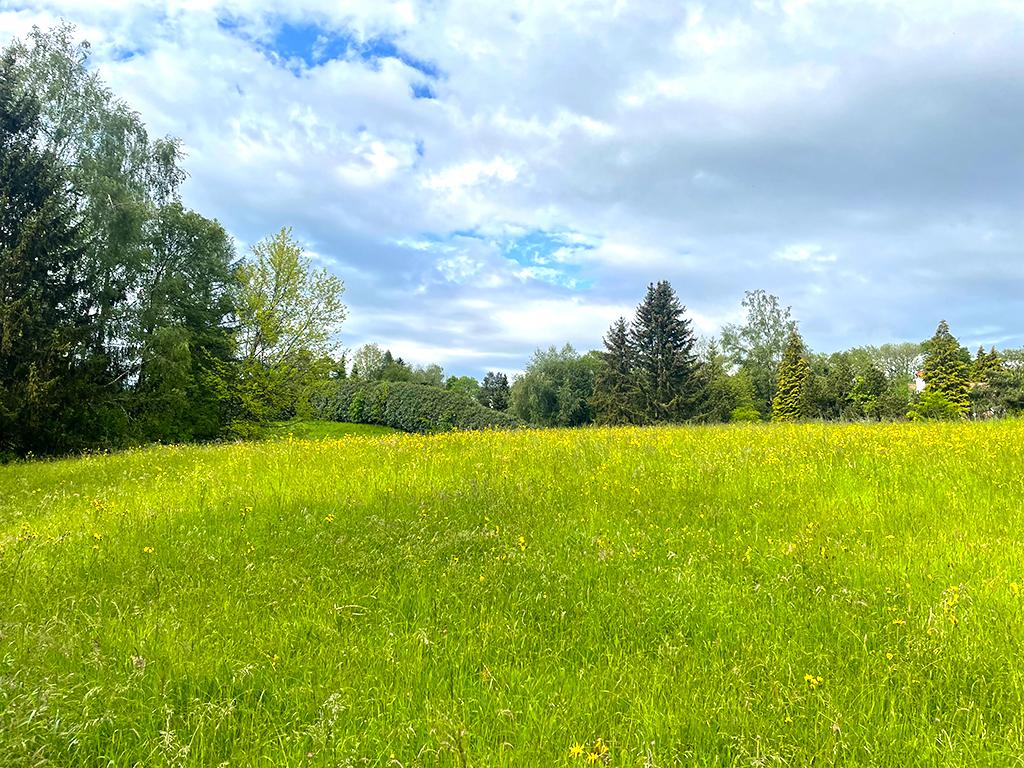 A vendre   Suisse - partenariat avec Smart-Propylaia Portail Immobilier