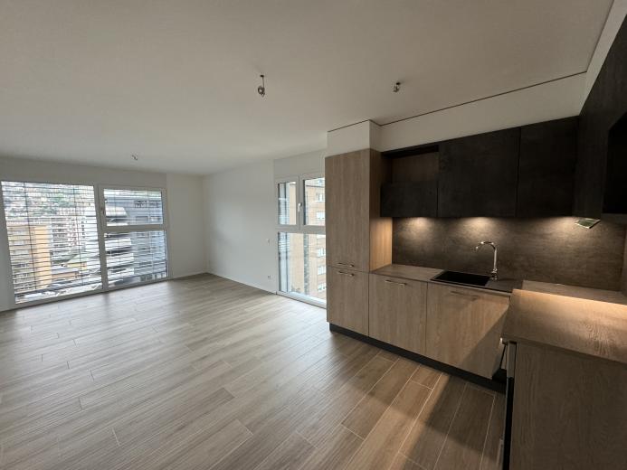 Casa plurifamiliare in vendita a Lugano - Smart Propylaia (4)