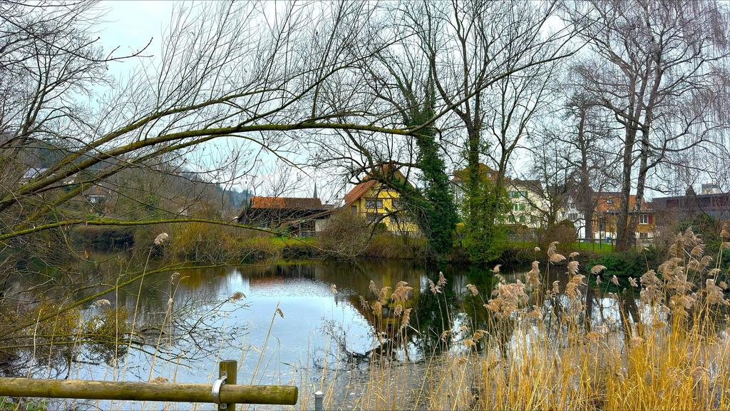 A louer   Suisse - partenariat avec Smart-Propylaia Portail Immobilier