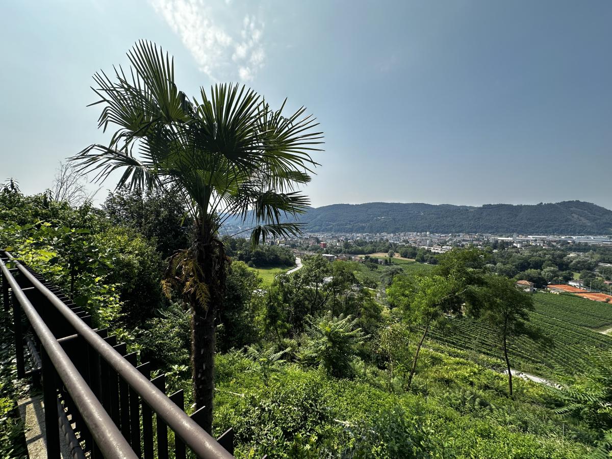 Zu verkaufen   Schweiz - cChic-immoHub Ihr Immobilienportal