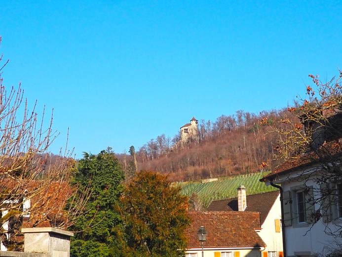 Haus zu verkaufen in Arlesheim - Smart Propylaia (2)