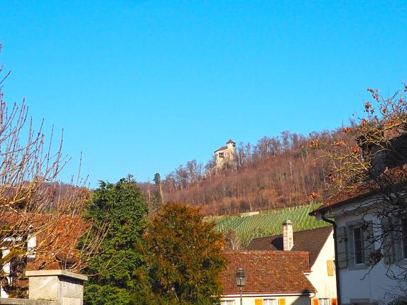 Maison à vendre à Arlesheim (2)