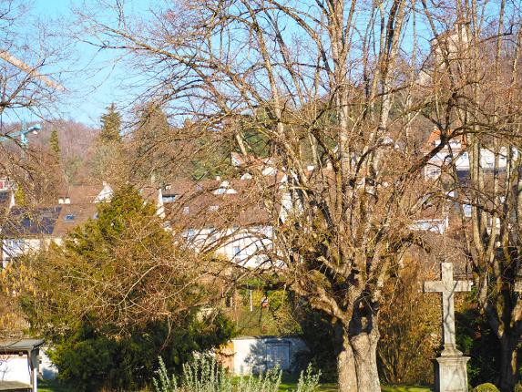 Maison à vendre à Arlesheim (4)