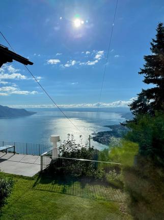 Maison à vendre à Montreux (2)