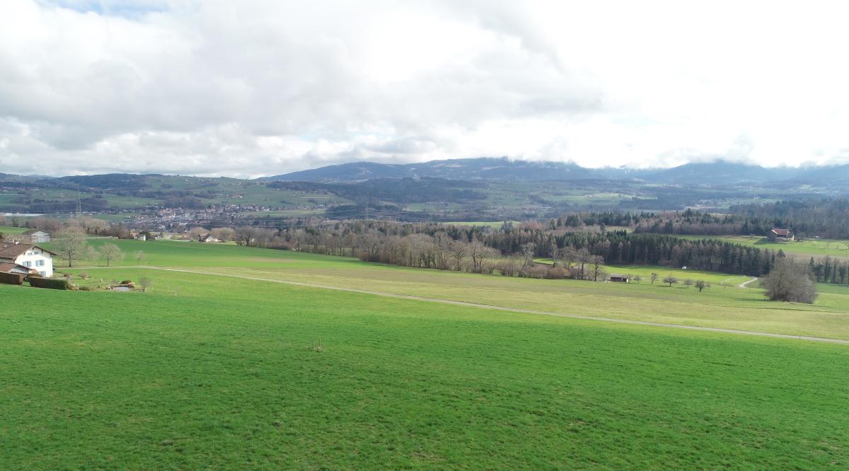 A vendre   Suisse - partenariat avec Smart-Propylaia Portail Immobilier