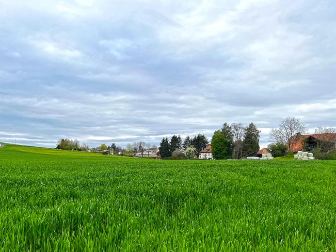 Wohnung zu verkaufen in Avry-sur-Matran - Smart Propylaia