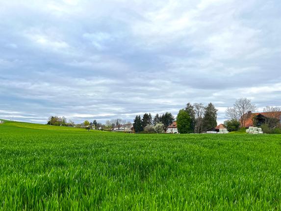 Wohnung zu verkaufen in Avry-sur-Matran