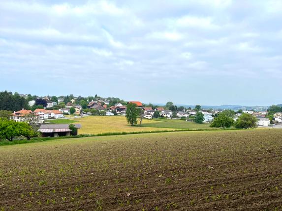 Wohnung zu verkaufen in Avry-sur-Matran (3)