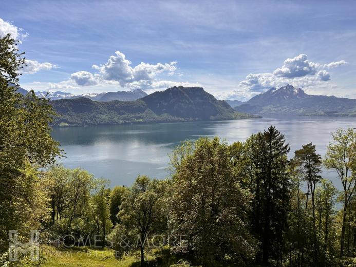 Haus zu verkaufen in Weggis - IDYLLISCHER RÜCKZUGSORT MIT EIGENEM WALD UND PANORAMASICHT - Smart Propylaia (9)