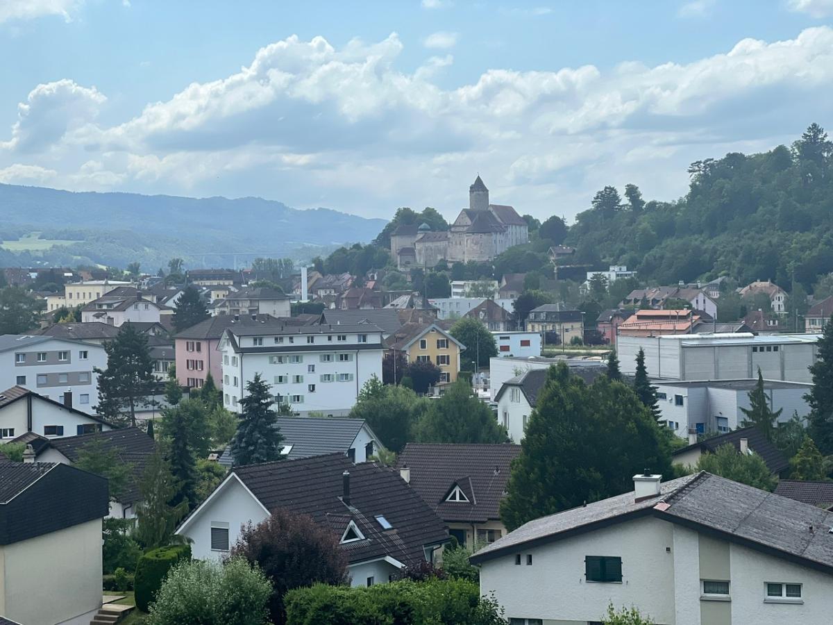 Zu verkaufen   Schweiz - cChic-immoHub Ihr Immobilienportal
