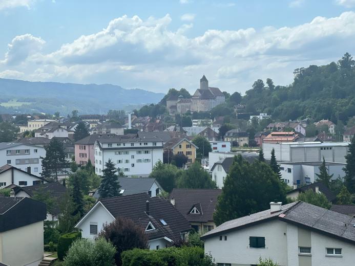 Haus zu verkaufen in Porrentruy - Smart Propylaia (4)