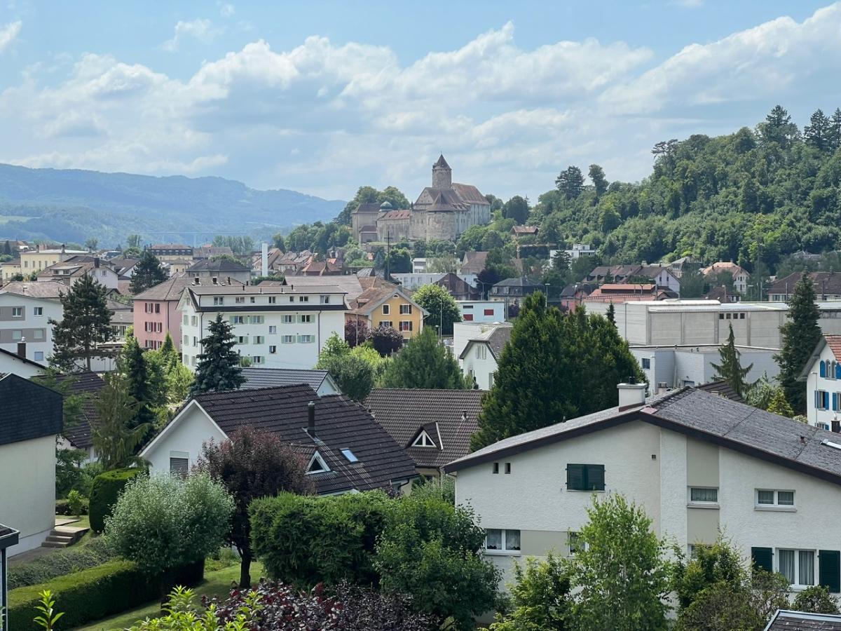 Zu verkaufen   Schweiz - cChic-immoHub Ihr Immobilienportal