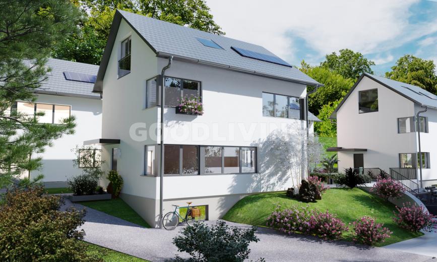 Haus zu verkaufen in Liestal - Smart Propylaia