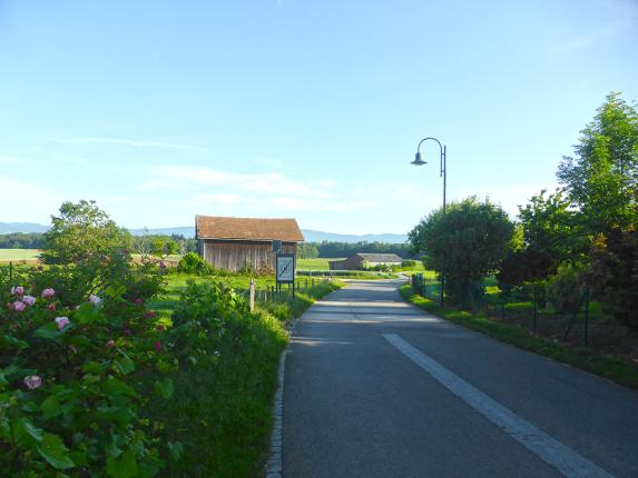 Wohnung zu verkaufen in Etagnières