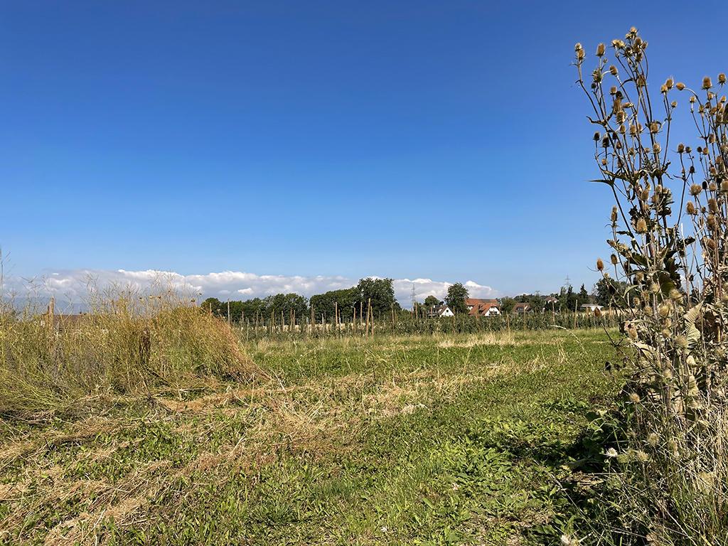 For sale   Switzerland - cChic-immoHub your real estate portal