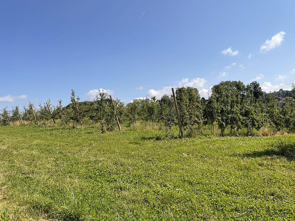 For sale   Switzerland - cChic-immoHub your real estate portal