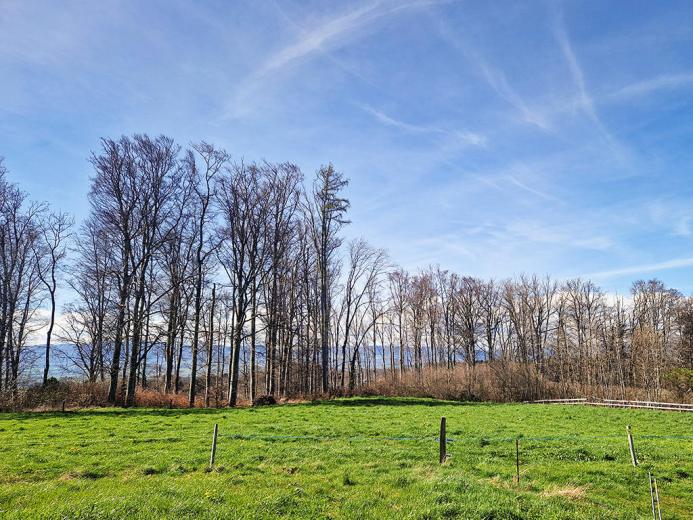 Haus zu verkaufen in Le Mont-sur-Lausanne - Smart Propylaia (4)