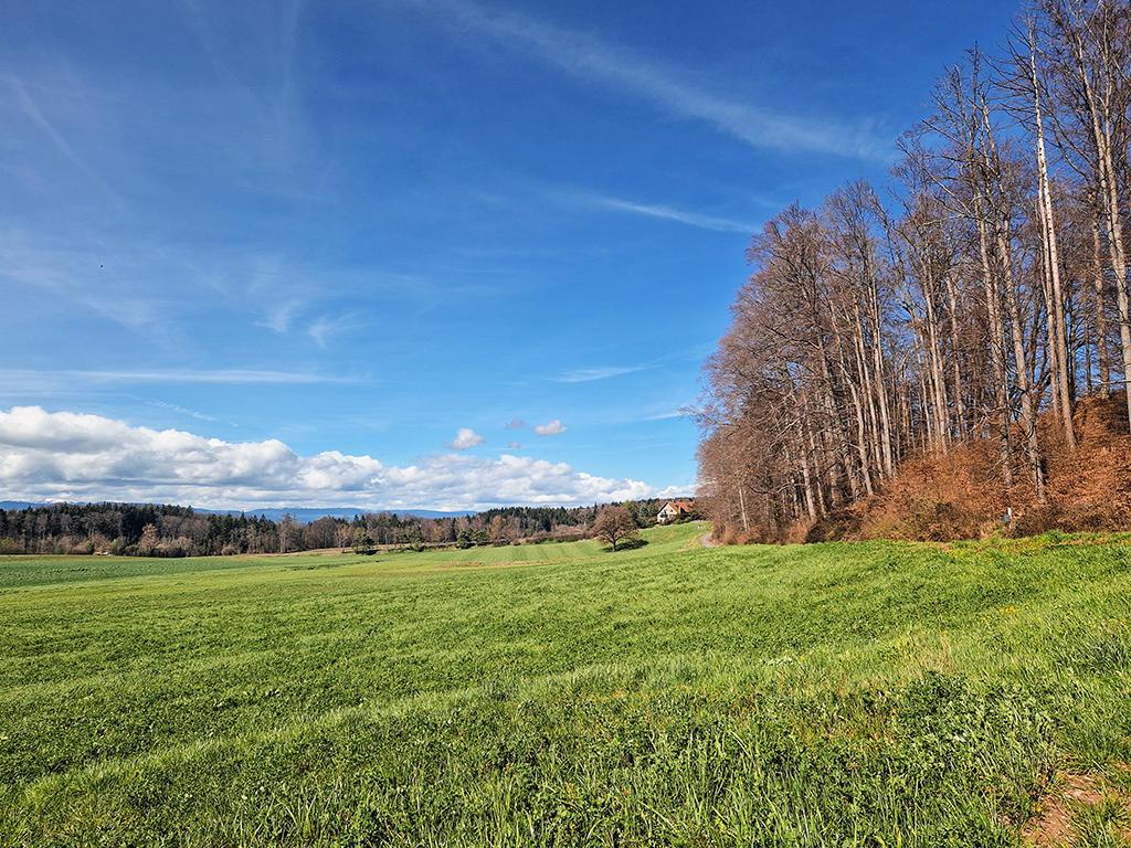 For sale   Switzerland - cChic-immoHub your real estate portal