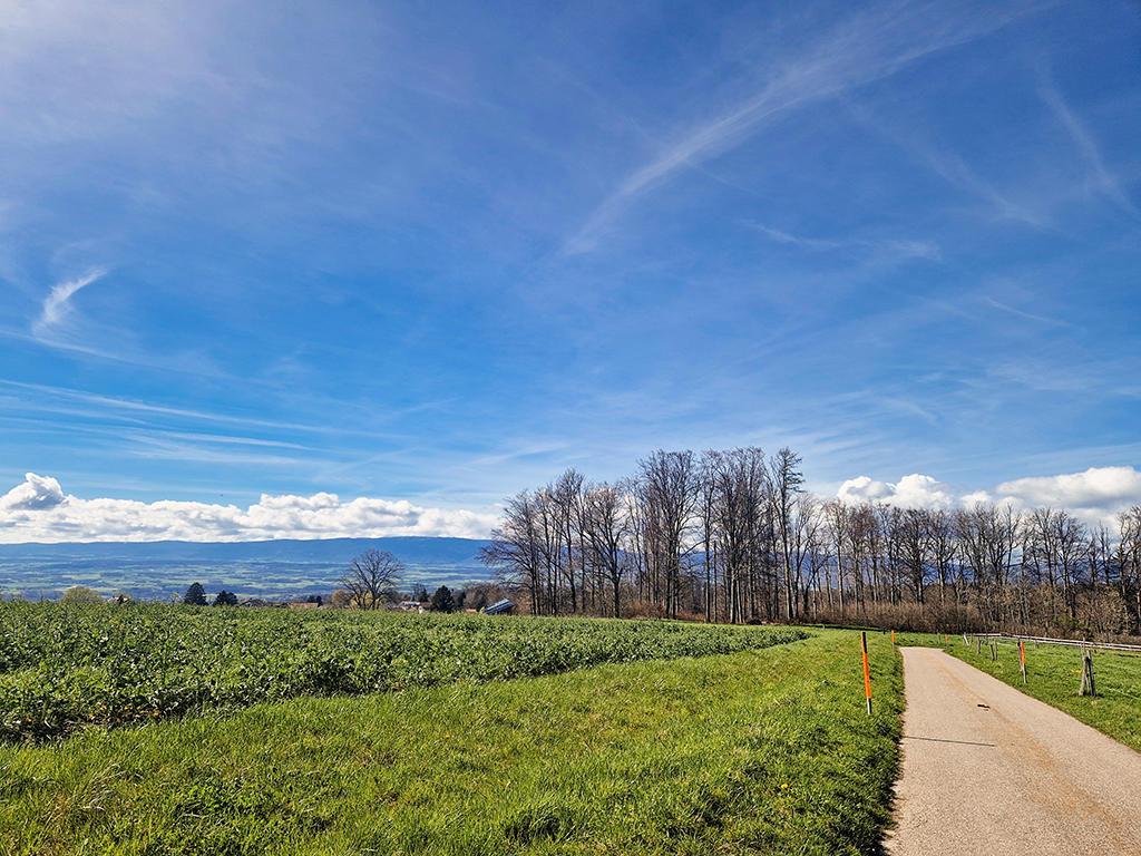 For sale   Switzerland - cChic-immoHub your real estate portal