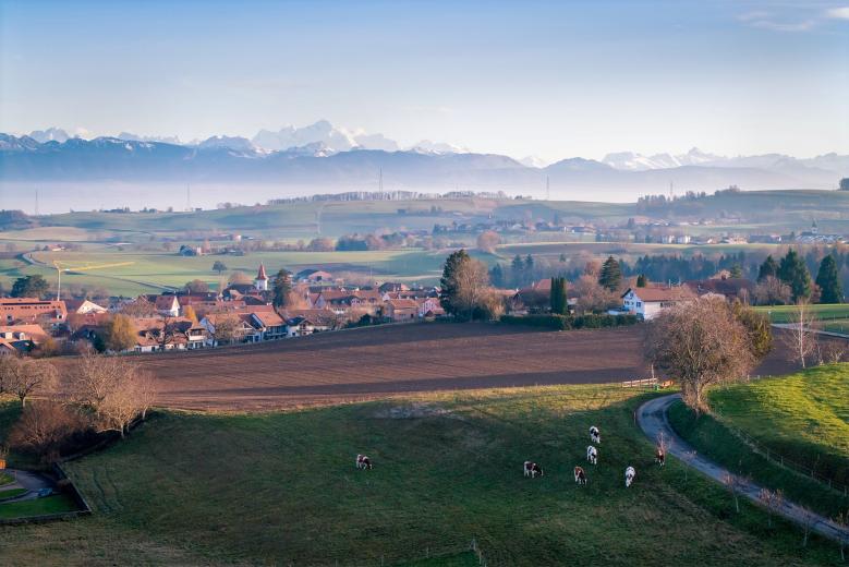 Haus zu verkaufen in Gimel - Smart Propylaia