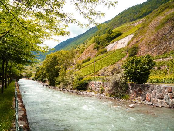 Terrain à vendre à Martigny (3)