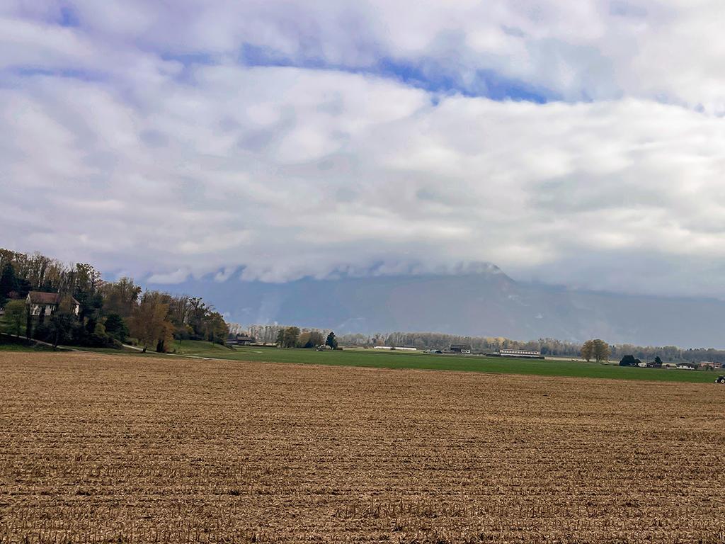 For sale   Switzerland - cChic-immoHub your real estate portal
