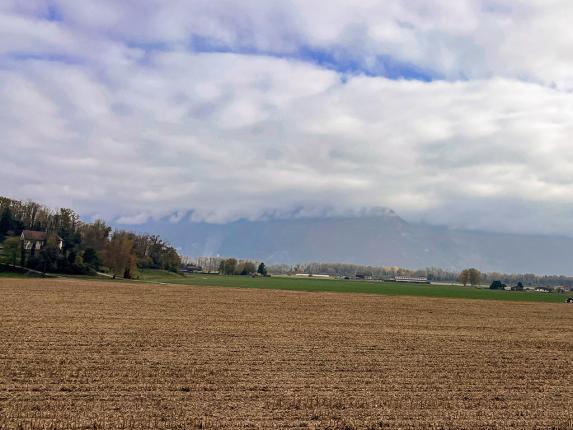 Terrain à vendre à Evionnaz (2)