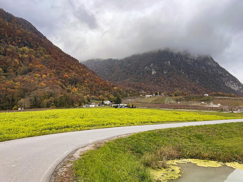 For sale   Switzerland - cChic-immoHub your real estate portal