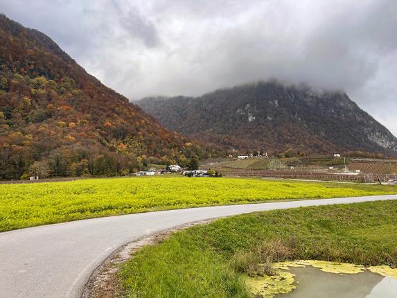 Terrain à vendre à Evionnaz (3)