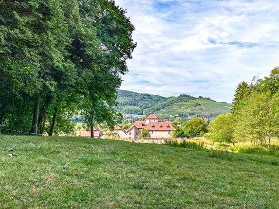 Haus zu verkaufen in Wintzenheim