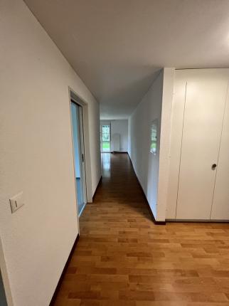 Appartement à louer à Altenrhein (4)