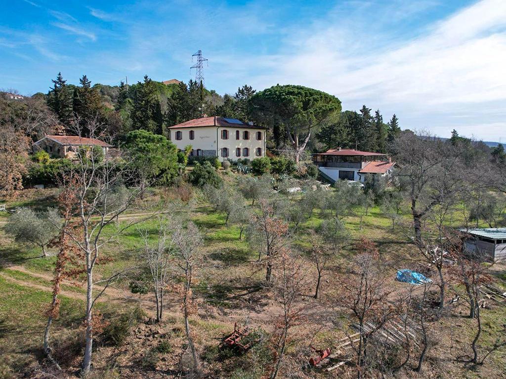 Maison à vendre à Suvereto - Smart Propylaia (2)