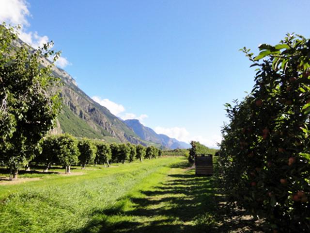 For sale   Switzerland - cChic-immoHub your real estate portal