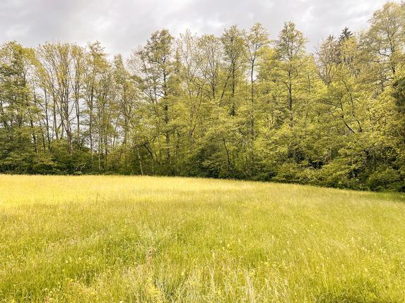 Wohnung zu verkaufen in Epalinges (3)