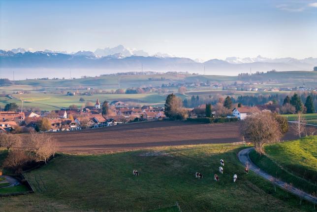 Haus zu verkaufen in Gimel