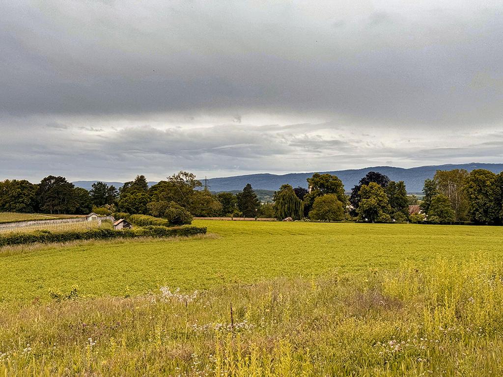 For sale   Switzerland - cChic-immoHub your real estate portal