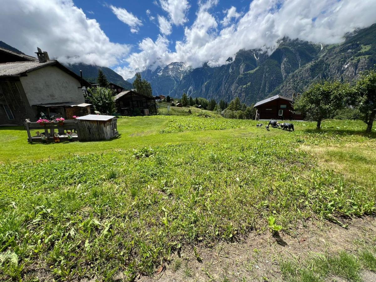For sale   Switzerland - cChic-immoHub your real estate portal