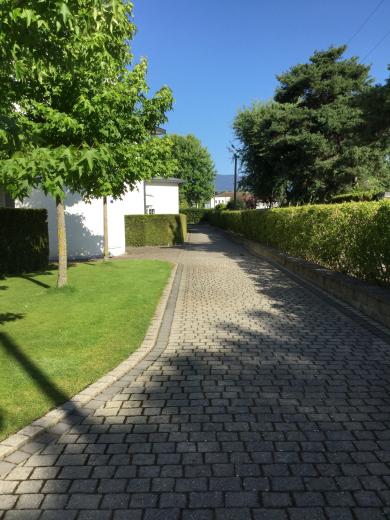 Wohnung zu vermieten in Coppet - Smart Propylaia (8)