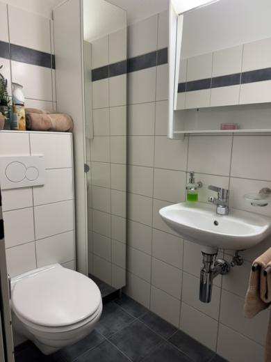 Wohnung zu vermieten in Niederuzwil - 4 Zimmerdachwohnung im Familienquartier - Smart Propylaia (6)
