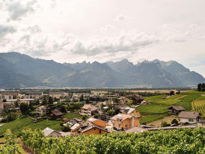 Wohnung zu verkaufen in Aigle - Smart Propylaia