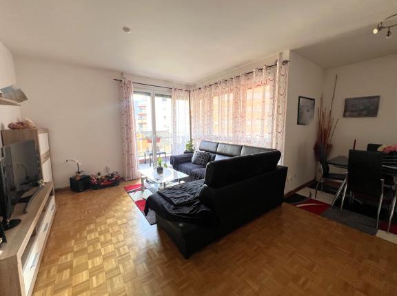 Appartement à vendre à Massagno (8)