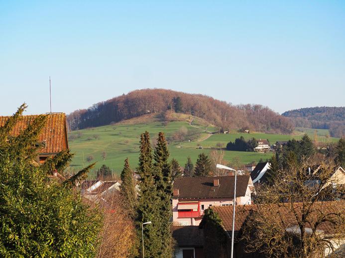 Haus zu verkaufen in Gelterkinden - Smart Propylaia