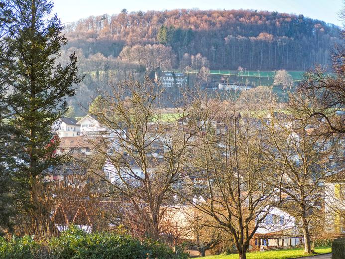 Haus zu verkaufen in Gelterkinden - Smart Propylaia (2)