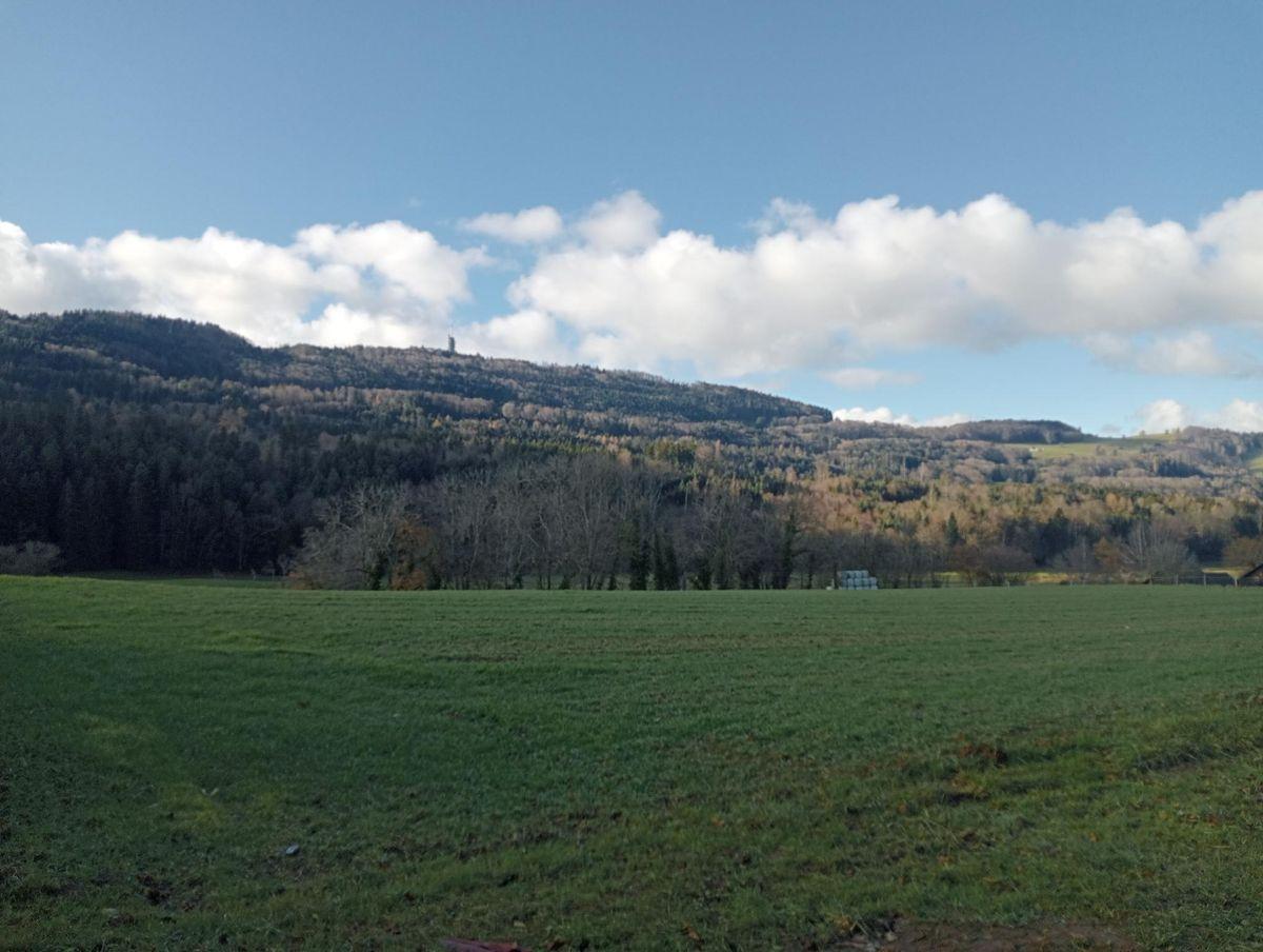 For sale   Switzerland - cChic-immoHub your real estate portal