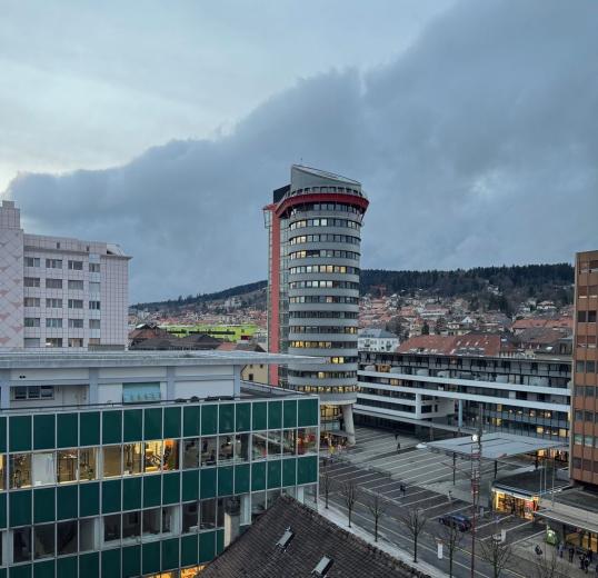 Wohnung zu verkaufen in La Chaux-de-Fonds - Wohnung zu verkaufen in La Chaux-de-Fonds, 1 Zimmer, 27 m2 - Smart Propylaia (3)