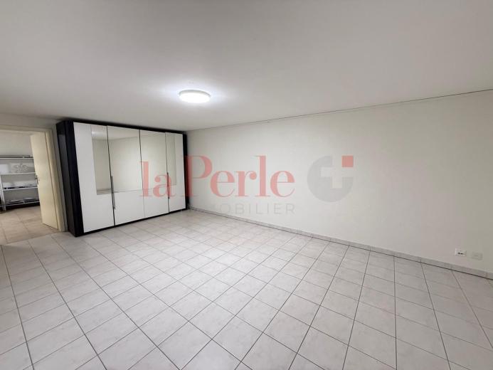 Maison à vendre à Vernier - Smart Propylaia (8)