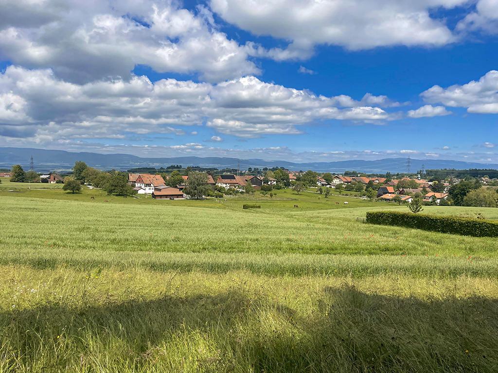 A vendre   Suisse - cChic-immoHub votre portail immobilier