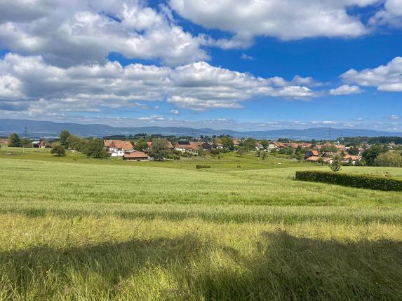 Haus zu verkaufen in Cugy VD