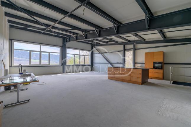 Commercial & industry for sale in Ballaigues (17)