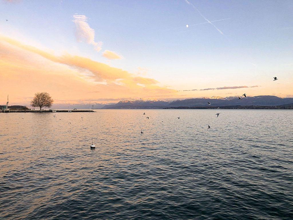 A vendre   Suisse - cChic-immoHub votre portail immobilier